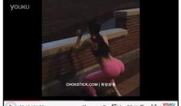 操骚妇视频,揭秘古代宫廷生活片段